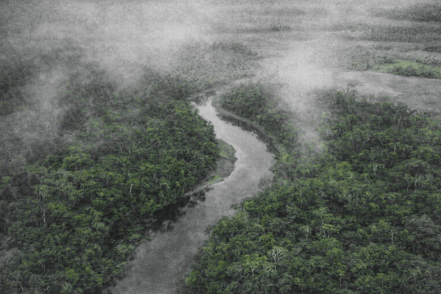 Aerial view of a river winding through dense forest